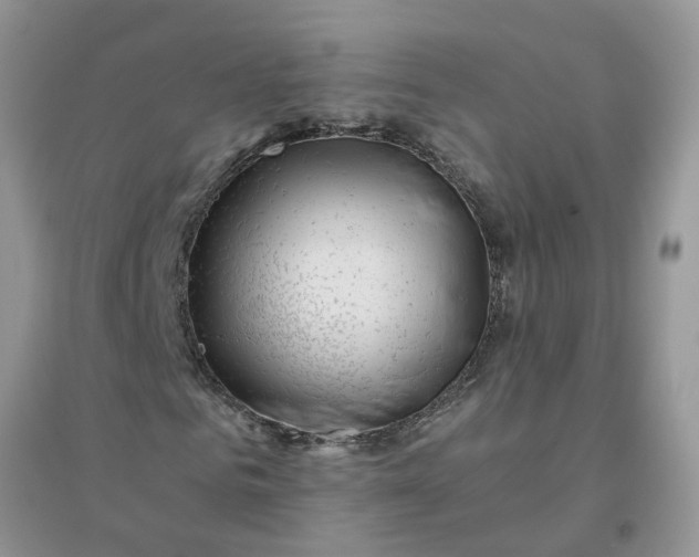 X0000096400961200802071557