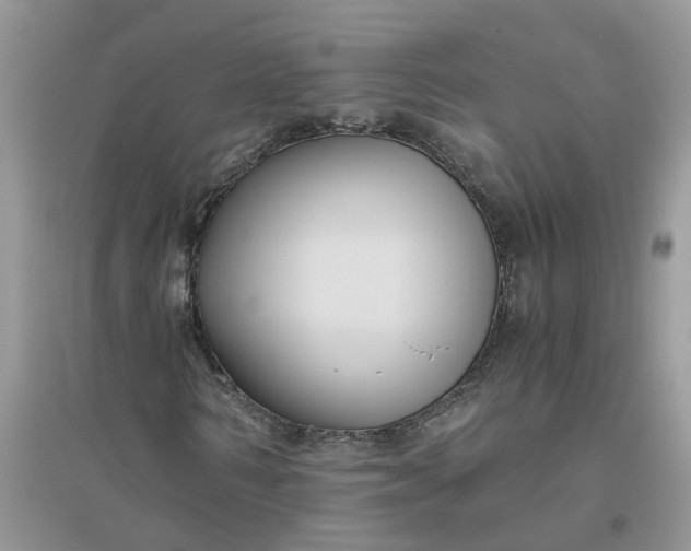 X0000096400962200802071557