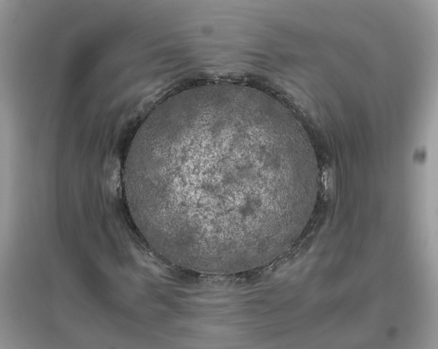 X0000096400963200802071557