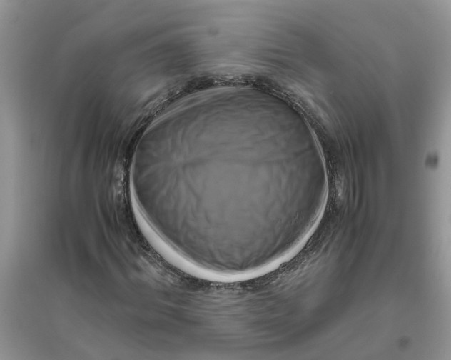 X0000096400964200802071557