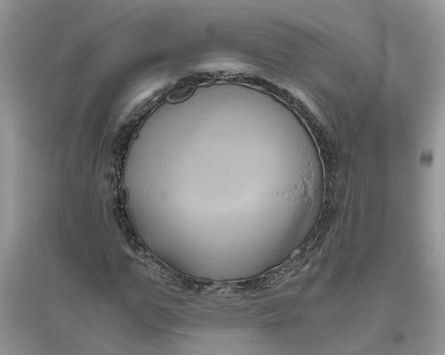 X0000096400967200802071557