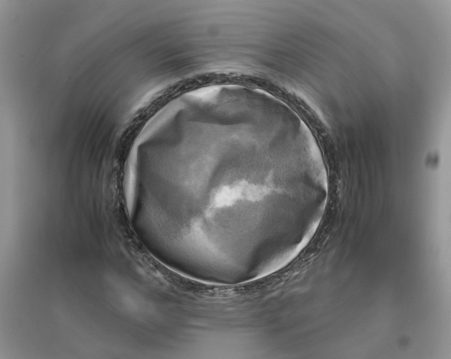 X0000096400968200802071557