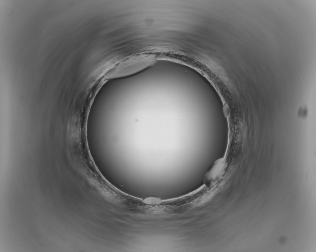 X0000096400969200802071557