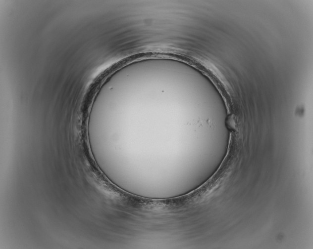 X0000096400971200802071557