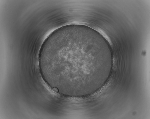 X0000096400972200802071557