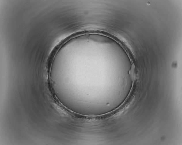 X0000096400973200802071557