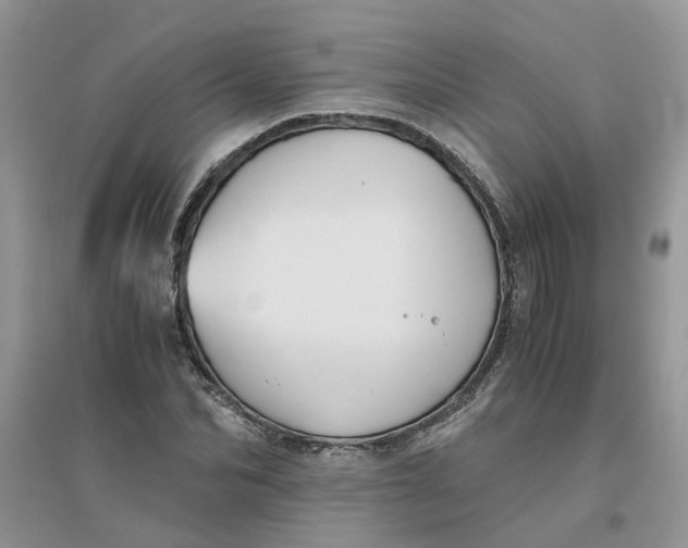 X0000096400974200802071557