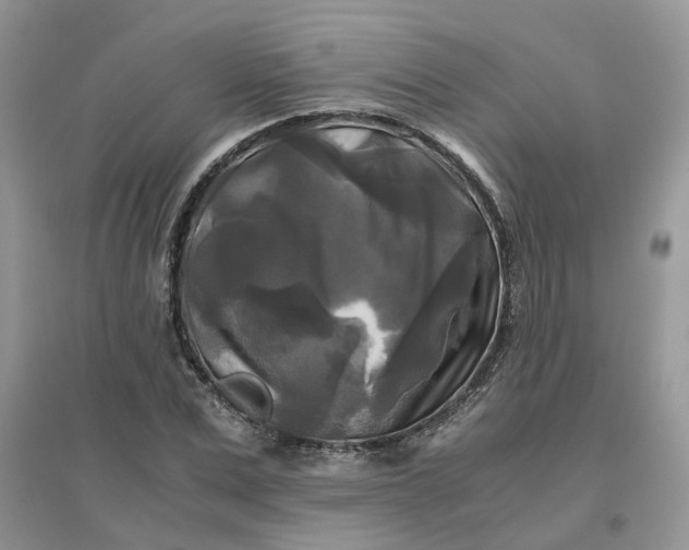 X0000096400975200802071557