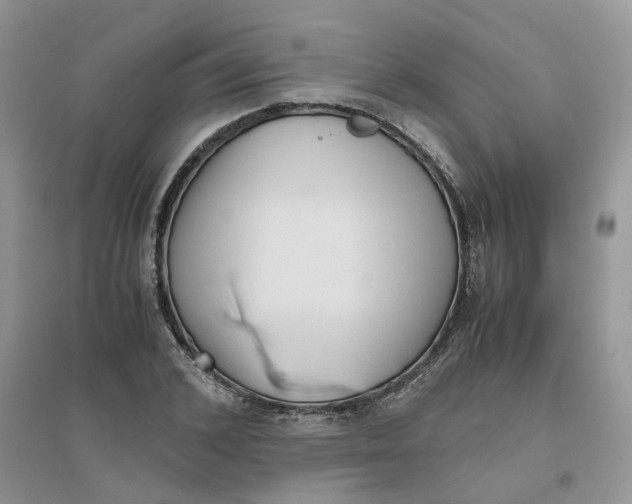 X0000096400976200802071557