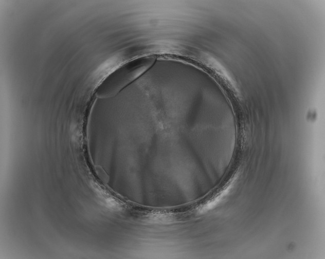 X0000096400977200802071557