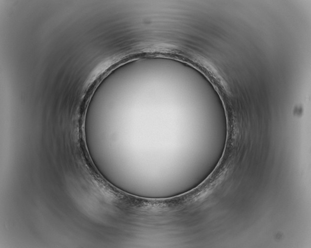 X0000096400978200802071557