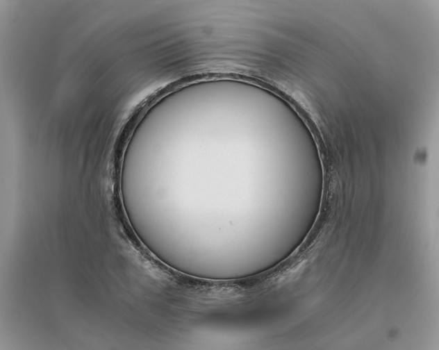 X0000096400979200802071557