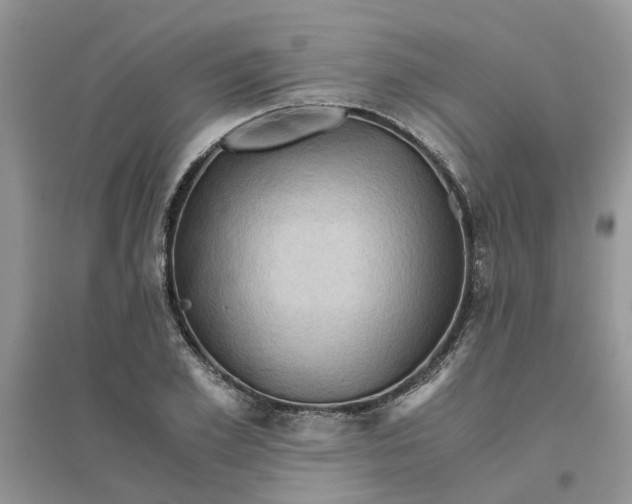 X0000096400981200802071557