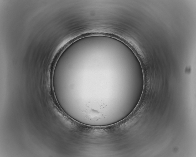 X0000096400982200802071557