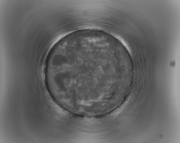 X0000096400983200802071557