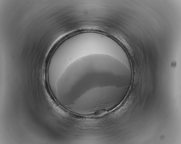 X0000096400984200802071557