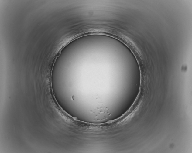 X0000096400985200802071557