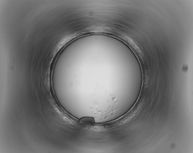 X0000096400986200802071557