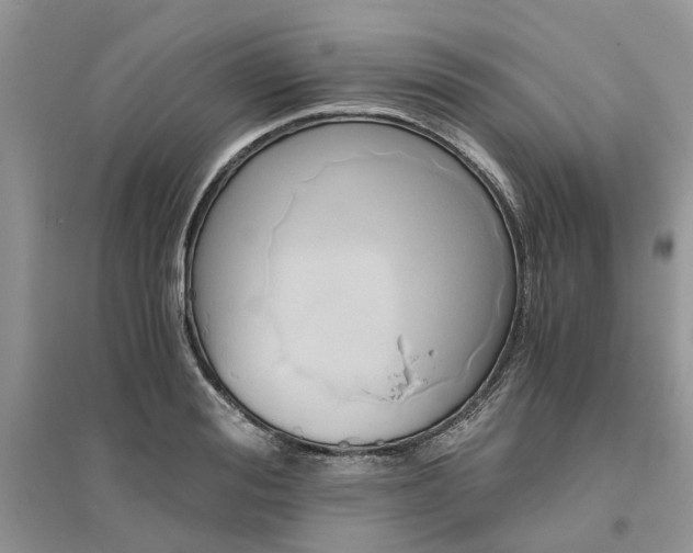 X0000096400988200802071557