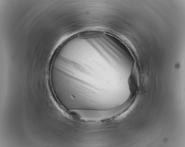 X0000096400989200802071557