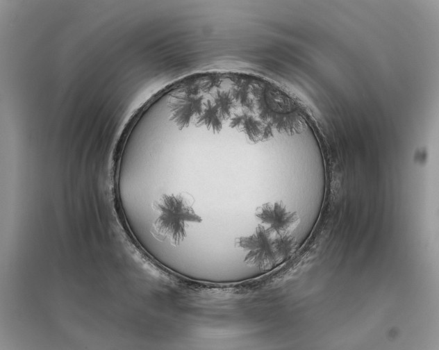 X0000096400990200802071557