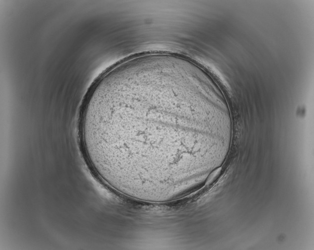 X0000096400991200802071557