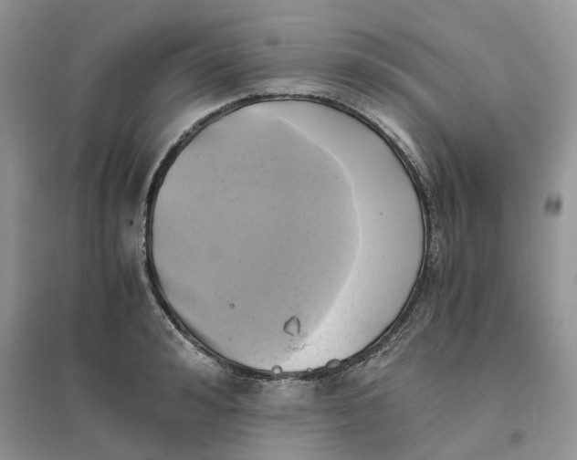 X0000096400992200802071557