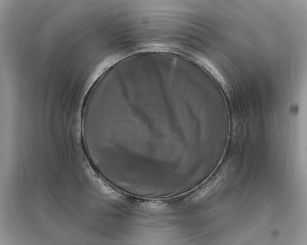 X0000096400994200802071557