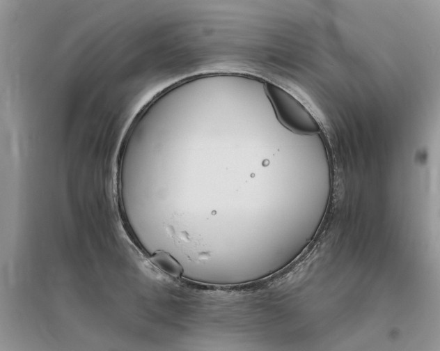 X0000096400996200802071556