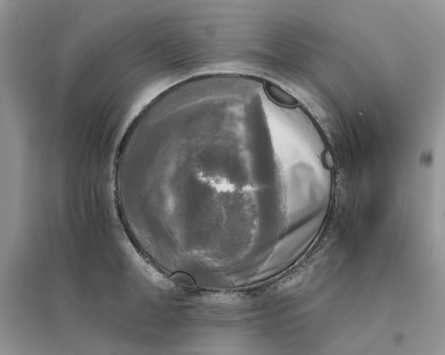 X0000096400998200802071556