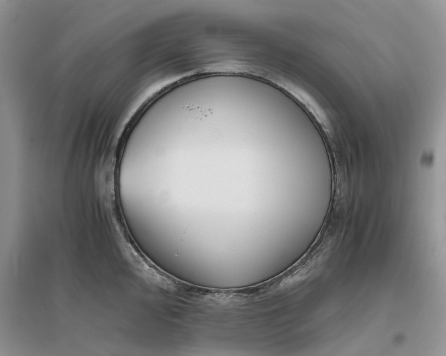 X0000096401000200802071556