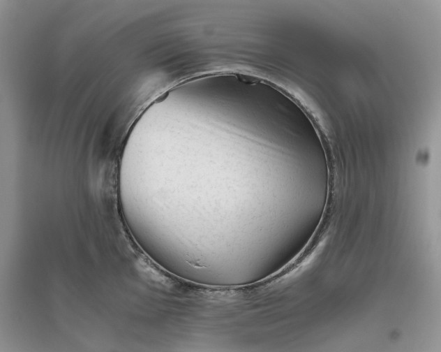 X0000096401001200802071556