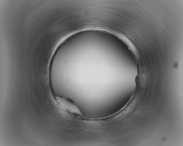 X0000096401004200802071556