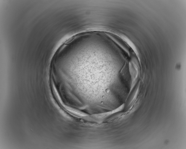 X0000096401005200802071556