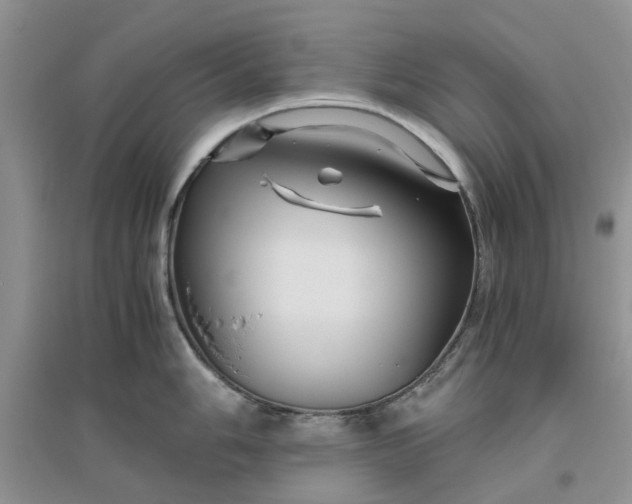 X0000096401006200802071556