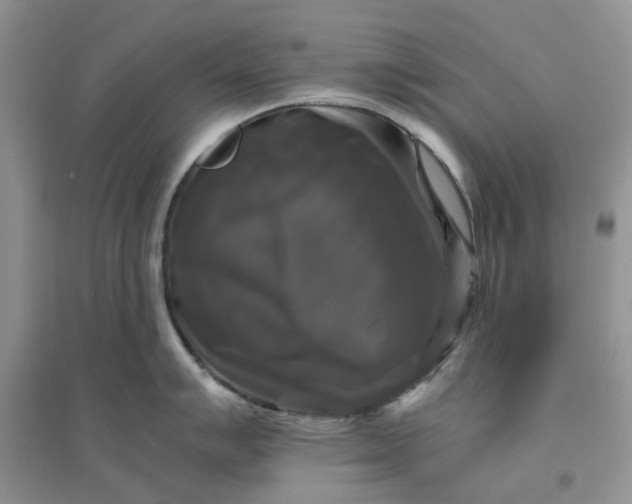 X0000096401007200802071556