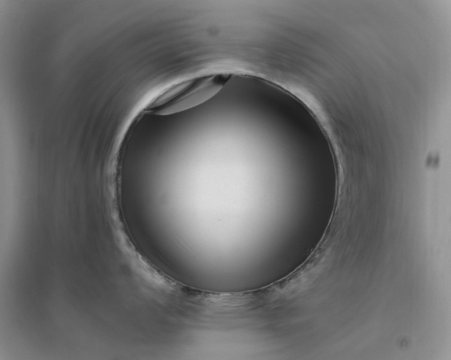 X0000096401008200802071556