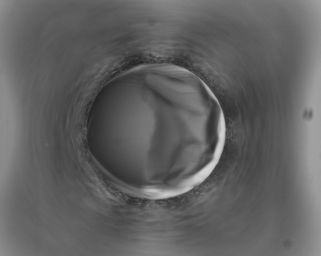 X0000096401009200802071556