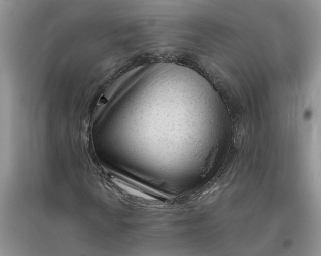 X0000096401010200802071556