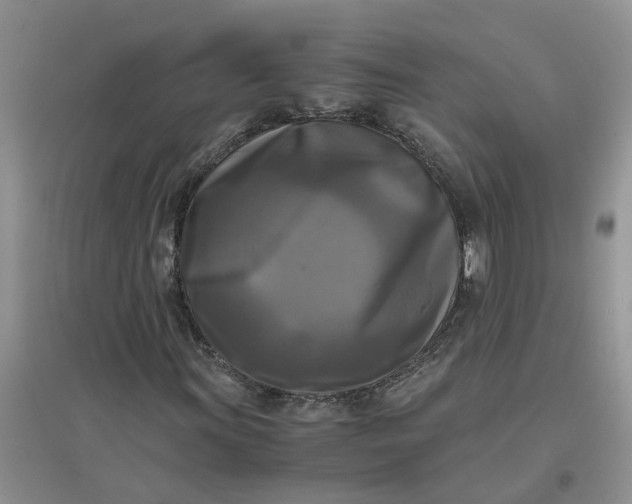 X0000096401011200802071556