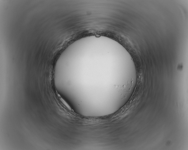 X0000096401012200802071556