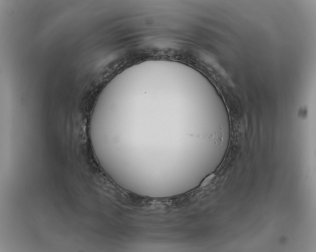 X0000096401013200802071556