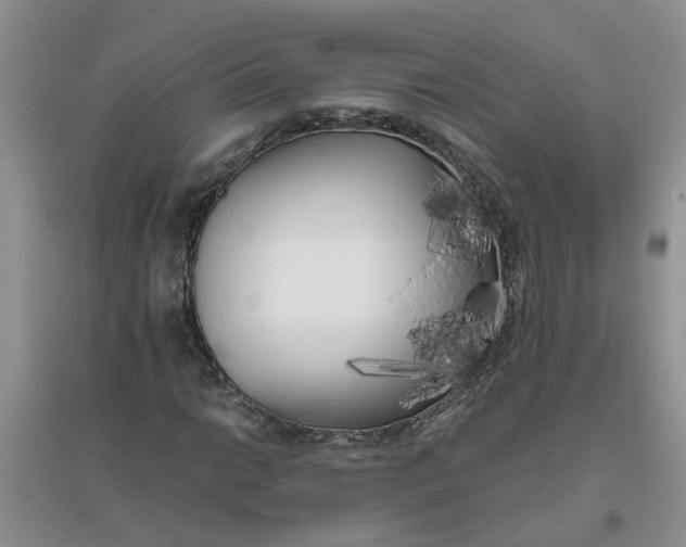 X0000096401014200802071556