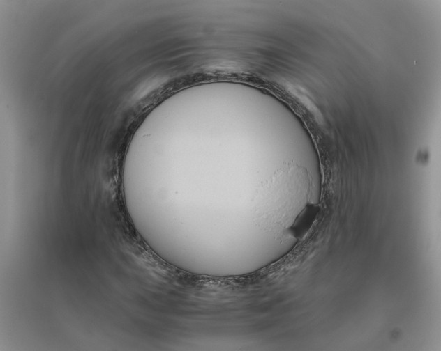 X0000096401015200802071556