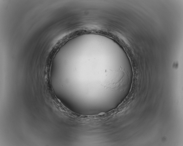 X0000096401016200802071556