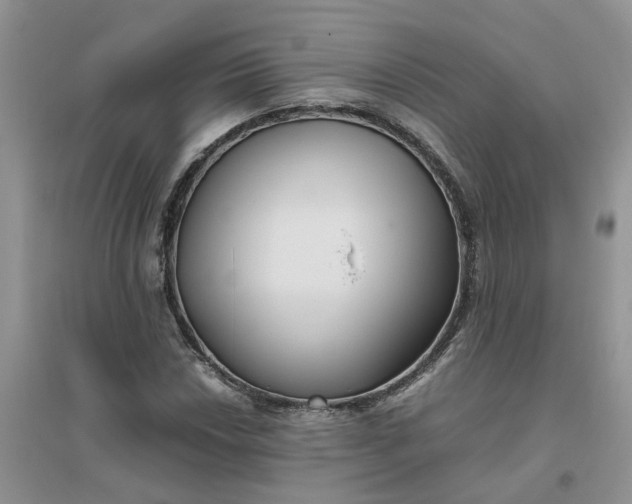 X0000096401018200802071556