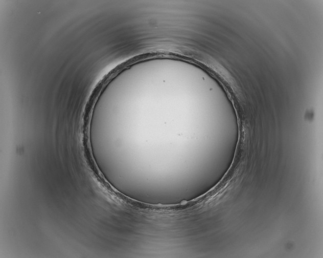 X0000096401020200802071556