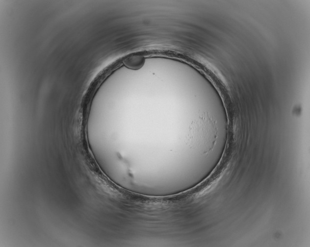 X0000096401021200802071556