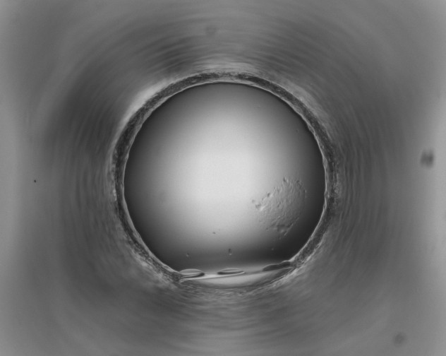 X0000096401022200802071556