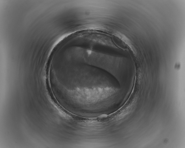 X0000096401024200802071556